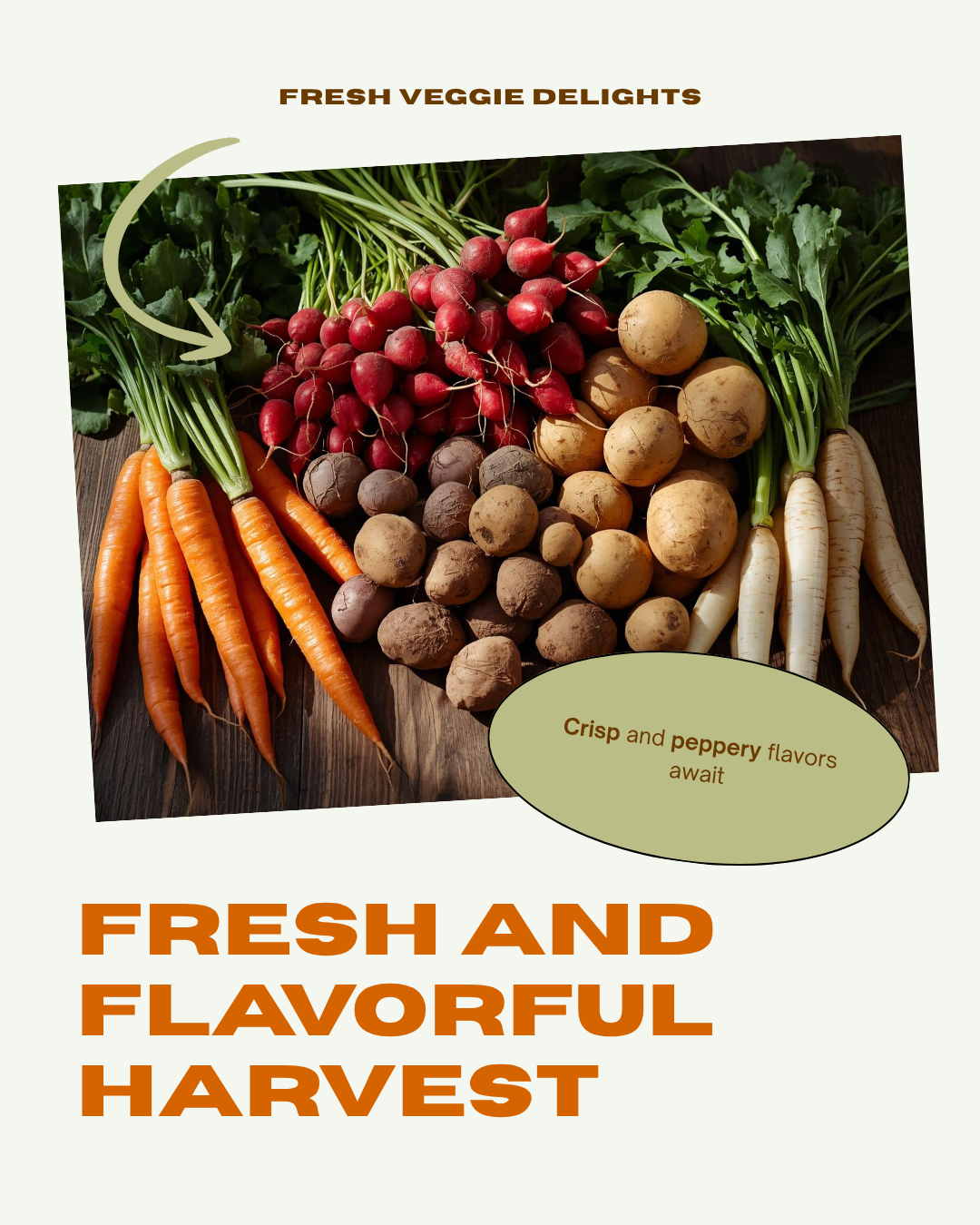 Fresh root vegetables variety